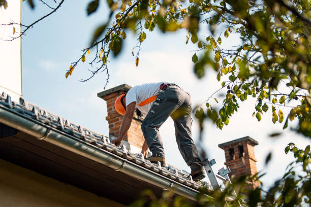Best Roof Gutter Cleaning  in Kahaluu, HI