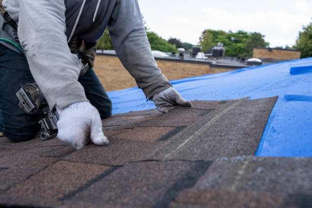 Best Residential Roofing Contractor  in Kahaluu, HI